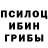 Псилоцибиновые грибы мицелий Denis MAX