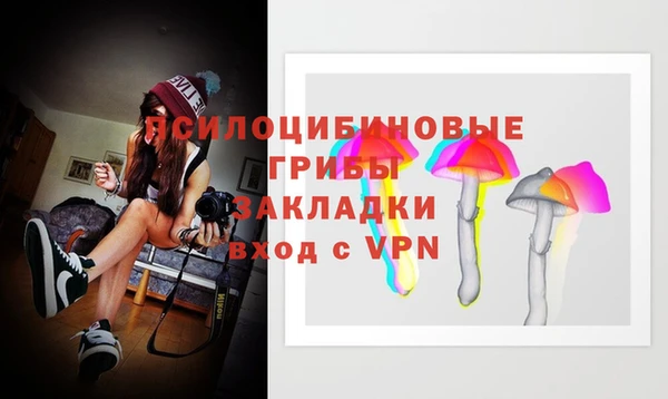 прущие грибы Алексин