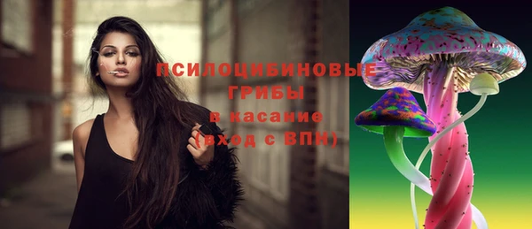 прущие грибы Алексин