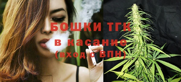 молекула духа Пестово
