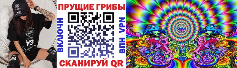 купить наркоту  OMG маркетплейс  Псилоцибиновые грибы мухоморы  Истра 